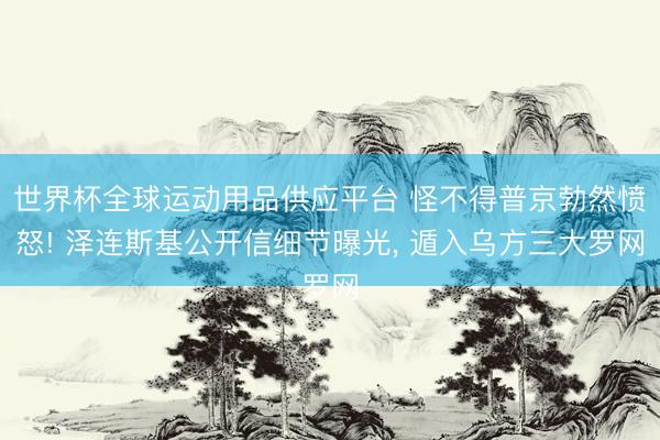 世界杯全球運動用品供應平臺 怪不得普京勃然憤怒! 澤連斯基公開信